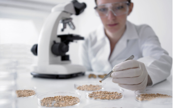 Investigación y mejora vegetal