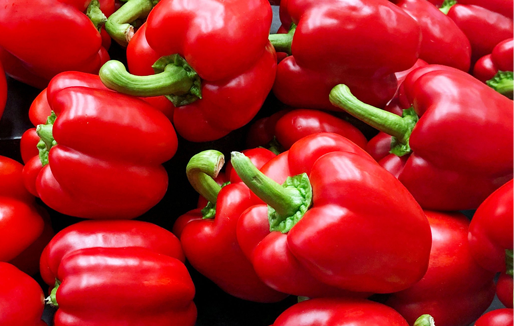 Pimientos para el mercado europeo