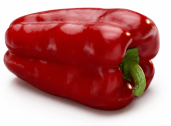 Pimiento Cabañeros F1