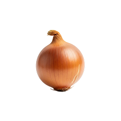 Cebolla