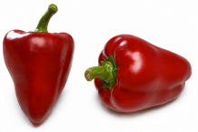 Pimiento Cierzo F1