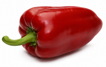 Pimiento Corera F1
