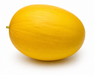 Melón Don García F1
