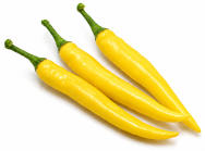 Pimiento Gualda F1