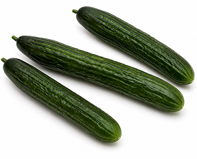 Pepino largo Flavius F1