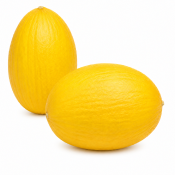 Melón Amarillo Bahamas F1
