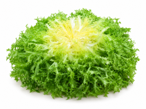 Escarola Hoja Rizada Cabello de Angel