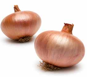 Cebolla Turmalina