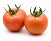 Tomate Colgatom F1