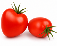 Tomate Barricada F1