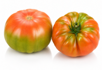 Tomate Irati F1