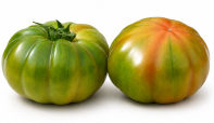 Tomate Indeterminado Sabor Marmande