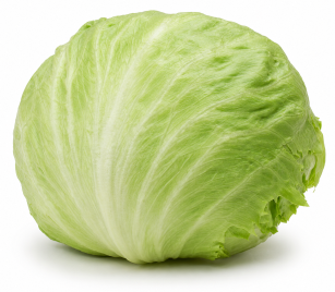 Lechuga Iceberg Gomer