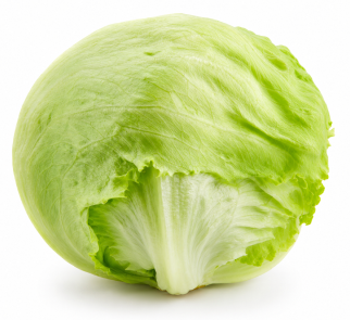Lechuga Iceberg Covadonga