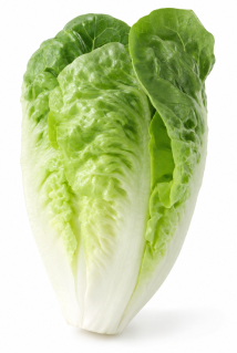 Lechuga Little Gem Cherry