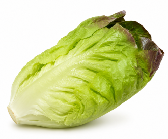 Lechuga Little Gem Brazato