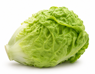 Lechuga Little Gem Valgrande