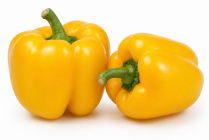 Pimiento Yelmo F1