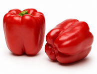 Pimiento Garbino F1