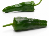 Pimiento Bohemia F1