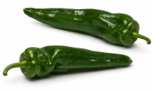 Pimiento Vinci F1