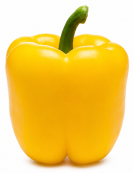 Pimiento Verdejo F1