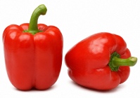 Pimiento Clipeo F1