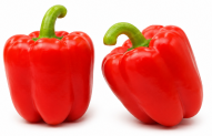 Pimiento Adarga F1