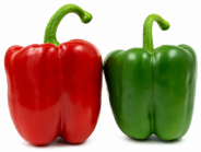 Pimiento California Rojo Invernadero Victoriano F1