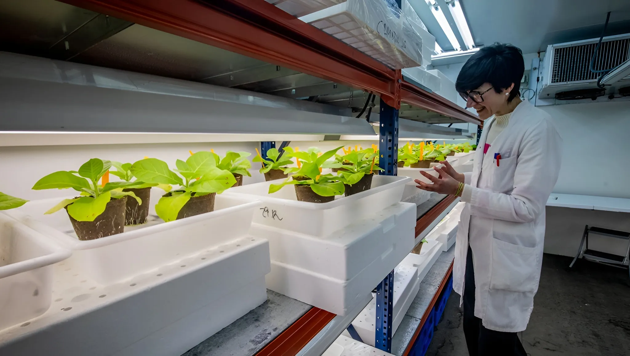 LA COMIDA DEL FUTURO EN CALAHORRA: INNOVACION DESDE EL CORAZON DEL CAMPO