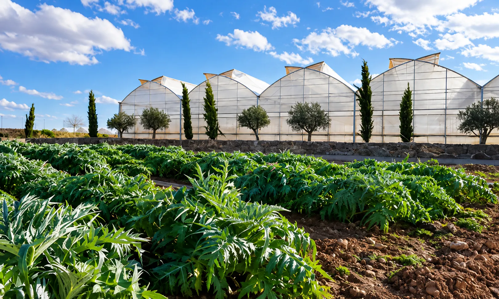 RAMIRO ARNEDO ACELERA SU CRECIMIENTO INTERNACIONAL CON NUEVAS VARIEDADES HORTÍCOLAS