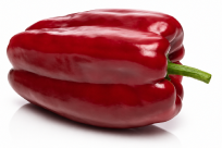 Pimiento Jerte F1