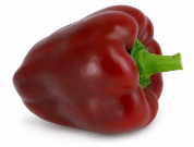 Pimiento Lebeche F1