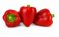 Pimiento Mediodía F1