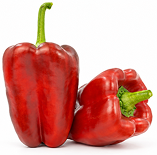 Pimiento Palomeque F1