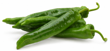 Pimiento Salvatore F1