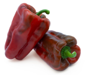 Pimiento Toboso F1