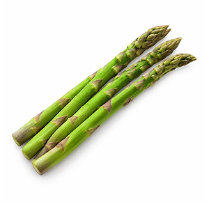 Espárrago verde Vegalim F1